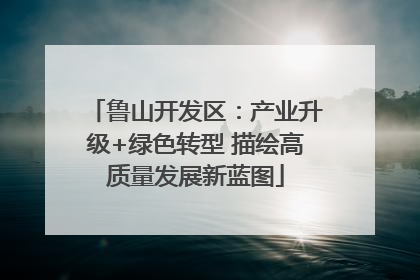 鲁山开发区：产业升级+绿色转型 描绘高质量发展新蓝图