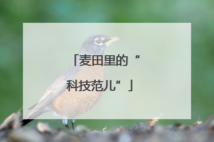 麦田里的“科技范儿”