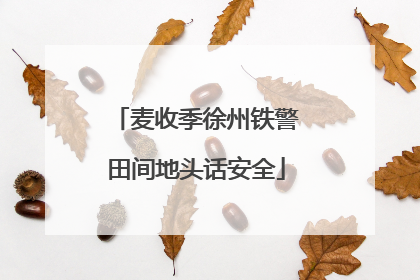 麦收季徐州铁警田间地头话安全