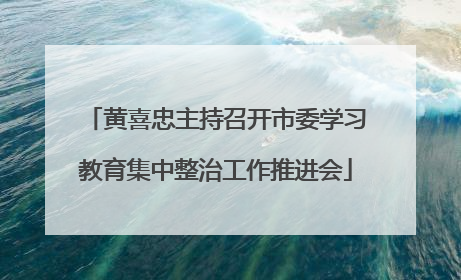 黄喜忠主持召开市委学习教育集中整治工作推进会