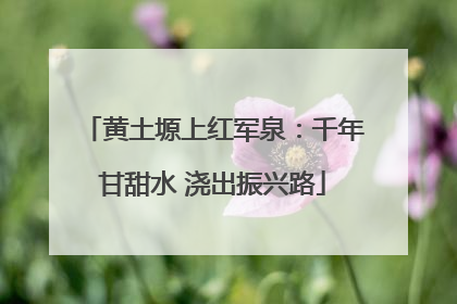 黄土塬上红军泉：千年甘甜水 浇出振兴路