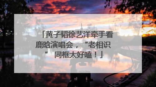 黄子韬徐艺洋牵手看鹿晗演唱会，“老相识” 同框太好嗑！