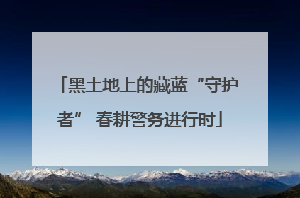 黑土地上的藏蓝“守护者” 春耕警务进行时