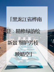 黑龙江省桦南县：精修绿韵绘新景 细护芳枝映晴空