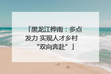 黑龙江桦南：多点发力 实现人才乡村“双向奔赴”