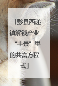 黟县西递镇解锁产业“丰景”里的共富方程式