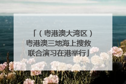 （粤港澳大湾区）粤港澳三地海上搜救联合演习在港举行