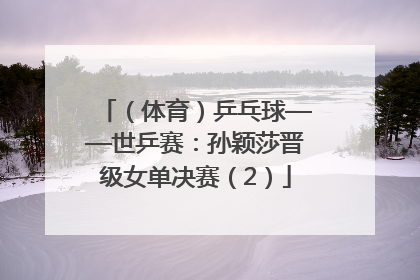 （体育）乒乓球——世乒赛：孙颖莎晋级女单决赛（2）