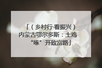 （乡村行·看振兴）内蒙古鄂尔多斯：土鸡“啄”开致富路