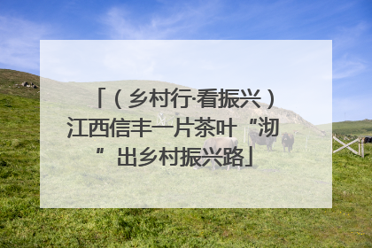 （乡村行·看振兴）江西信丰一片茶叶“沏”出乡村振兴路