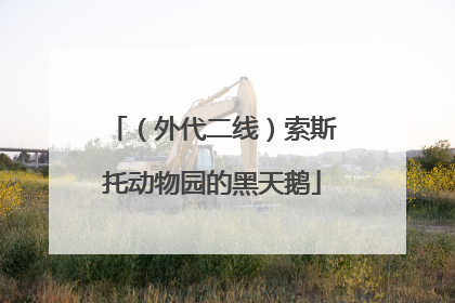 （外代二线）索斯托动物园的黑天鹅