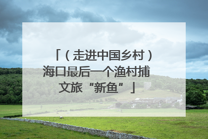 （走进中国乡村）海口最后一个渔村捕文旅“新鱼”