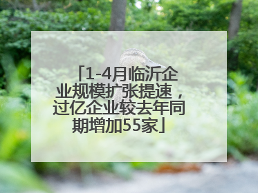 1-4月临沂企业规模扩张提速，过亿企业较去年同期增加55家