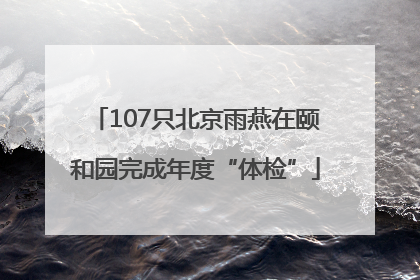 107只北京雨燕在颐和园完成年度“体检”