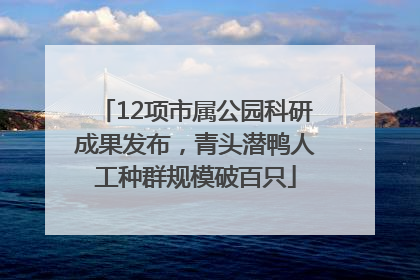 12项市属公园科研成果发布，青头潜鸭人工种群规模破百只