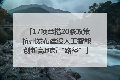 17项举措20条政策 杭州发布建设人工智能创新高地新“路径”