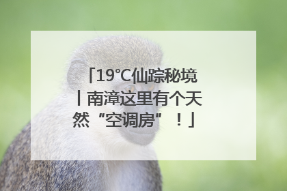 19℃仙踪秘境丨南漳这里有个天然“空调房”！