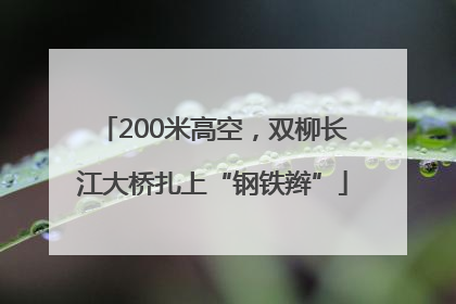 200米高空，双柳长江大桥扎上“钢铁辫”