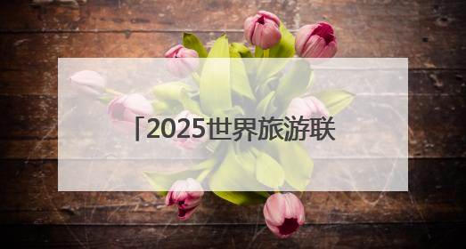 2025世界旅游联盟·洞庭对话｜专家建言黔湘文旅协同发展：聚焦产品稀缺性 深化区域经验共享