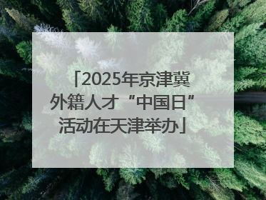 2025年京津冀外籍人才“中国日”活动在天津举办