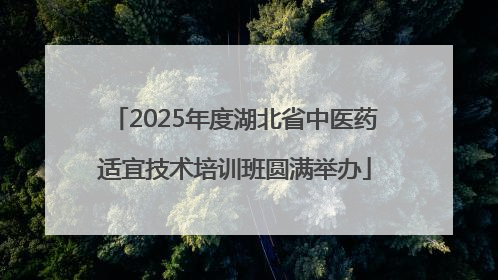 2025年度湖北省中医药适宜技术培训班圆满举办