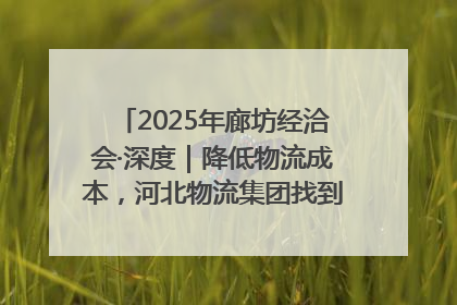 2025年廊坊经洽会·深度｜降低物流成本，河北物流集团找到一把“金钥匙”