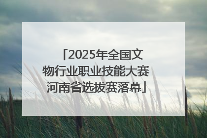 2025年全国文物行业职业技能大赛河南省选拔赛落幕