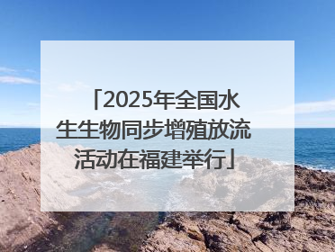 2025年全国水生生物同步增殖放流活动在福建举行