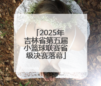 2025年吉林省第五届小篮球联赛省级决赛落幕