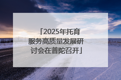 2025年托育服务高质量发展研讨会在普陀召开