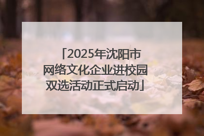 2025年沈阳市网络文化企业进校园双选活动正式启动