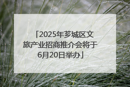 2025年芗城区文旅产业招商推介会将于6月20日举办