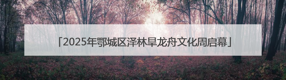 2025年鄂城区泽林旱龙舟文化周启幕