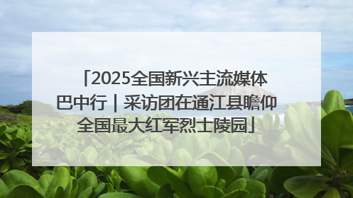 2025全国新兴主流媒体巴中行｜采访团在通江县瞻仰全国最大红军烈士陵园