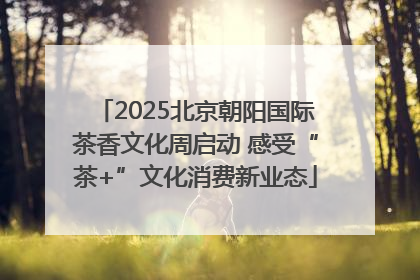 2025北京朝阳国际茶香文化周启动 感受“茶+”文化消费新业态