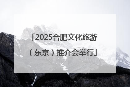 2025合肥文化旅游（东京）推介会举行
