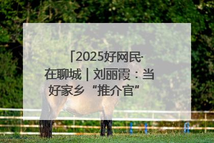 2025好网民·在聊城｜刘丽霞：当好家乡“推介官” 秀出乡村新风貌
