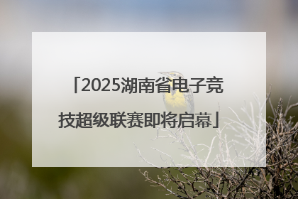 2025湖南省电子竞技超级联赛即将启幕