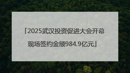 2025武汉投资促进大会开幕 现场签约金额984.9亿元