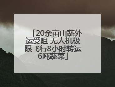 20余亩山蔬外运受阻 无人机极限飞行8小时转运6吨蔬菜
