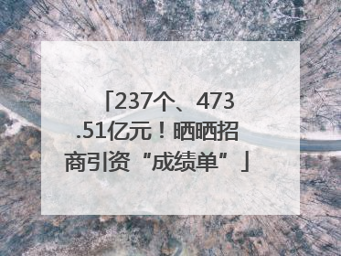 237个、473.51亿元！晒晒招商引资“成绩单”