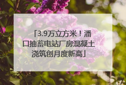 3.9万立方米！潘口抽蓄电站厂房混凝土浇筑创月度新高