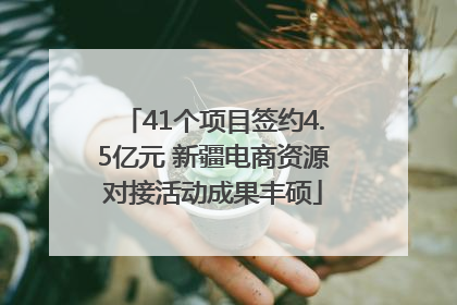 41个项目签约4.5亿元 新疆电商资源对接活动成果丰硕