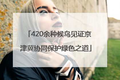 420余种候鸟见证京津冀协同保护绿色之道