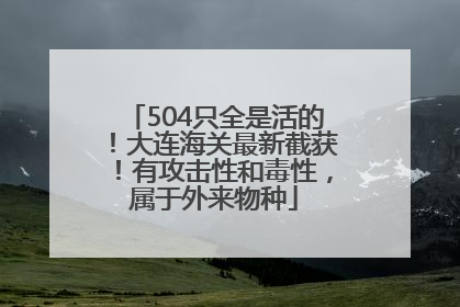 504只全是活的！大连海关最新截获！有攻击性和毒性，属于外来物种