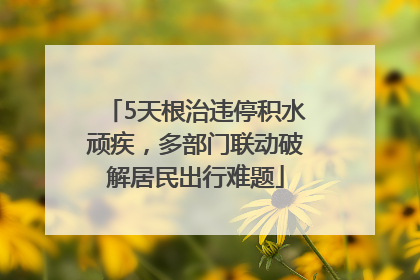 5天根治违停积水顽疾，多部门联动破解居民出行难题