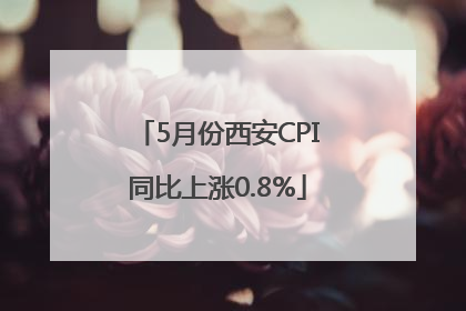 5月份西安CPI同比上涨0.8%