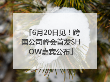 6月20日见！跨国公司峰会首发SHOW嘉宾公布