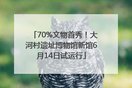70%文物首秀！大河村遗址博物馆新馆6月14日试运行