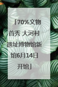 70%文物首秀 大河村遗址博物馆新馆6月14日开馆